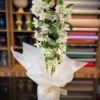 Pure White Dendrobium Orchid