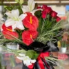 Royal Red White Anthurium